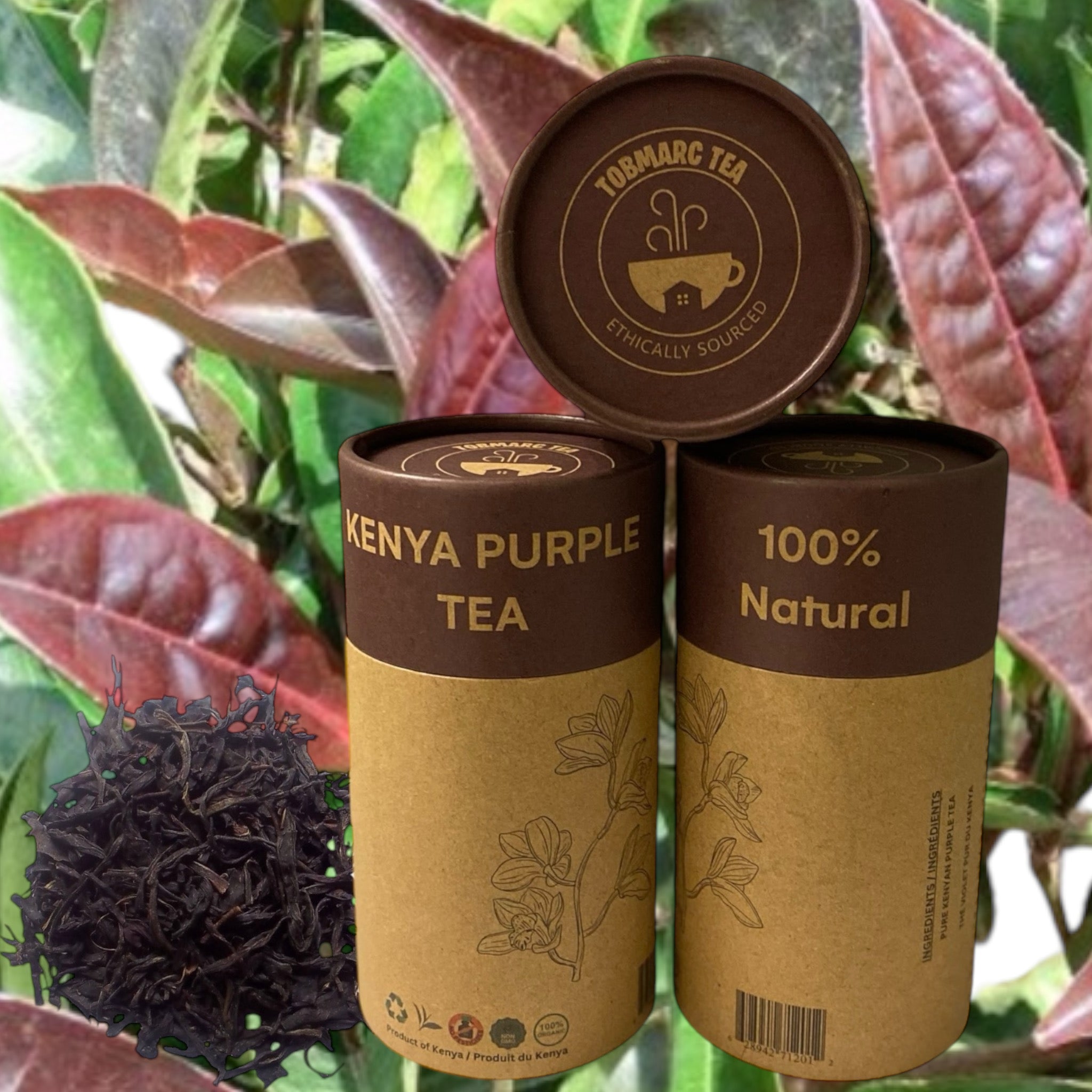 Natural Kenyan Purple Tea, 100% Natural, Low-Caffeine, Antioxidant-Rich Dried Leaves, Eco-Friendly Kraft Tube- 100g